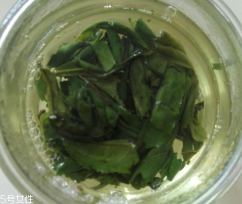 六安瓜片是紅茶還是綠茶？