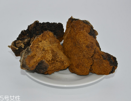 樺樹(shù)茸怎么泡水喝？樺樹(shù)茸泡水喝法