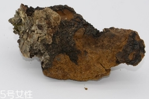 樺樹茸是中藥嗎？樺樹茸屬于中藥嗎