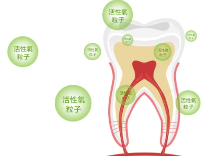 牙貼怎么分上下牙貼？牙貼怎么分正反