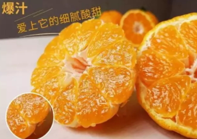 丑八怪可以放冰箱嗎？丑八怪怎么保存