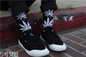 楓葉襪子是什么牌子？楓葉襪子品牌介紹