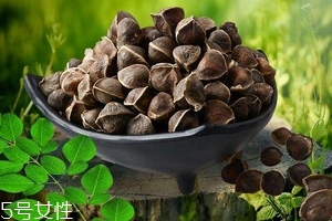 辣木籽能治口臭嗎？口臭吃辣木籽好嗎？