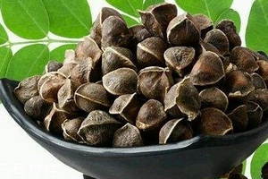 辣木籽哪里產(chǎn)的好？哪里的辣木籽最好？