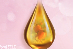玫瑰果油可以天天用嗎？玫瑰果油多久用一次