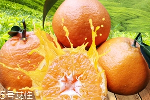 春見是什么水果？春見是丑八怪還是耙耙柑