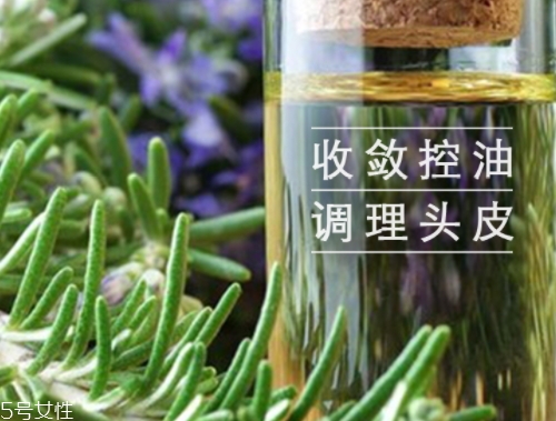 迷迭香精油怎么用？迷迭香精油使用注意事項(xiàng)