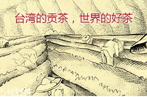 四云奶蓋貢茶哪個好喝？四云奶蓋貢茶點單攻略