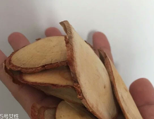 東革阿里是中藥嗎？東革阿里是什么？