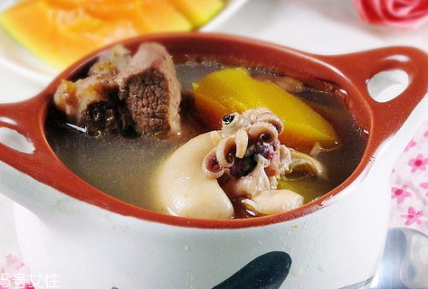墨魚(yú)湯可以放什么藥材 墨魚(yú)湯和什么一起煲湯