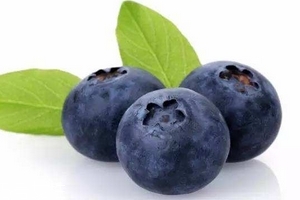 花青素是雌激素嗎？花青素是什么？