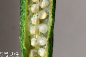 秋葵干好吃嗎？秋葵干怎么吃？