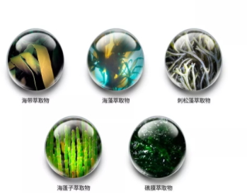 jm防曬噴霧什么味道？jmsolution防曬噴霧好聞嗎？