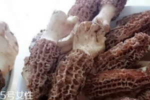 羊肚菌是什么東西？羊肚菌能吃嗎？