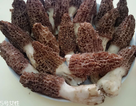 羊肚菌是什么東西？羊肚菌能吃嗎？