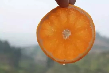 青見柑橘上火嗎？青見柑橘一天吃幾個(gè)好