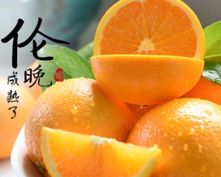 倫晚臍橙和夏橙哪個好？倫晚臍橙和其他橙子的區(qū)別