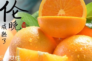 倫晚臍橙口感是酸的還是甜的？倫晚臍橙好吃嗎