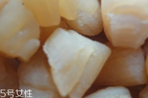 干貝是海鮮嗎？干貝是什么動(dòng)物做的？