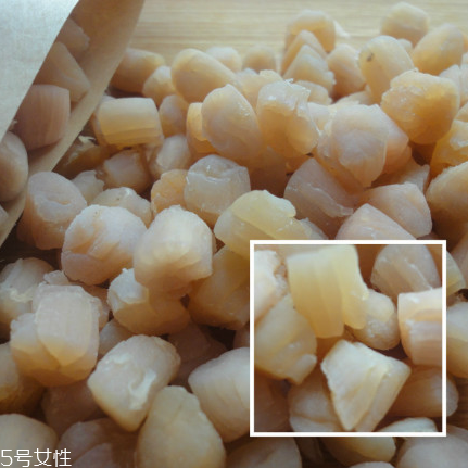 干貝是海鮮嗎？干貝是什么動(dòng)物做的？