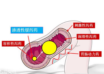 瀉藥吃了多久后開始排便？