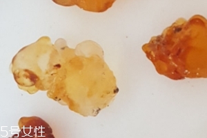 桃膠能生吃嗎？生吃桃膠可以嗎？