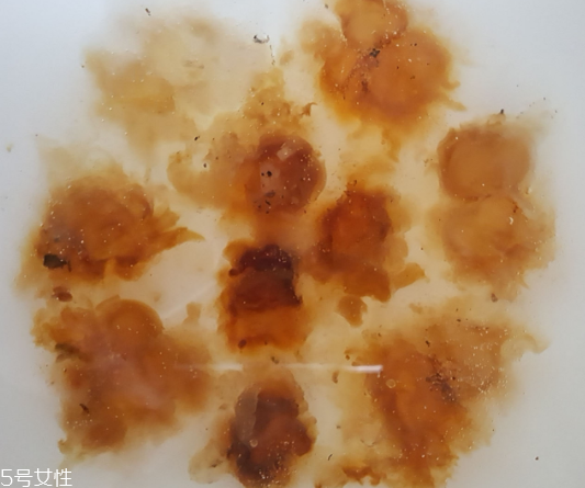 桃膠能生吃嗎？生吃桃膠可以嗎？