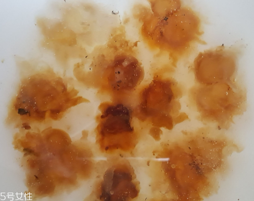桃膠可以用開水泡嗎？用開水泡桃膠好嗎？