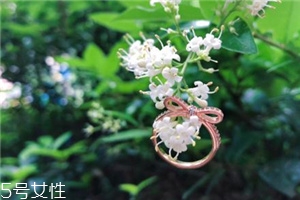 戒指掉進(jìn)下水道怎么辦？戒指掉下水道了怎么撿
