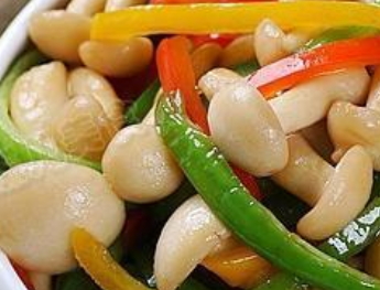 白玉菇怎么吃？白玉菇怎么做好吃