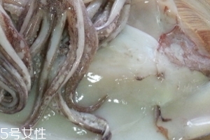 魷魚是烏賊嗎？魷魚跟烏賊是一種嗎？