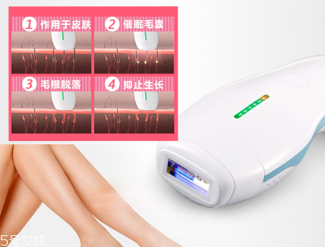 deess脫毛儀多少錢？蒂絲脫毛儀價格