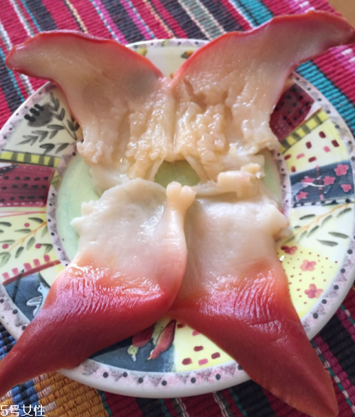 北極貝是海鮮嗎？北極貝介紹
