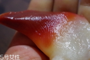 北極貝能不能煮？煮北極貝可以嗎？
