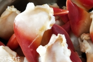 北極貝可以涮火鍋嗎？北極貝可以下火鍋吃嗎？