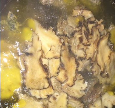 烏骨雞是烏雞嗎？烏骨雞是什么雞？