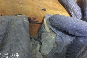 烏雞下奶嗎？烏雞怎么吃下奶？
