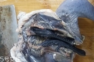 烏雞是公雞好還是母雞好？烏雞買公雞還是母雞？
