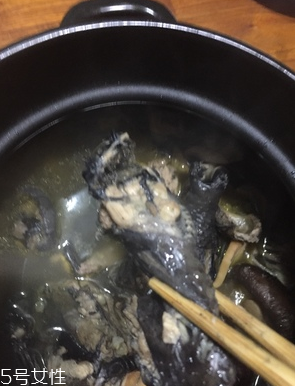 烏雞是公雞好還是母雞好？烏雞買(mǎi)公雞還是母雞？