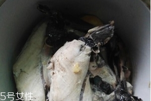 烏雞是熱性還是涼性？烏雞偏熱還是偏涼？