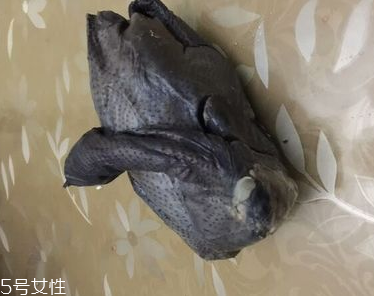 烏雞是熱性還是涼性？烏雞偏熱還是偏涼？