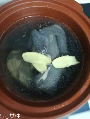 烏雞是熱性還是涼性？烏雞偏熱還是偏涼？