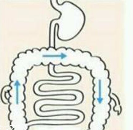 開塞露躺著還是蹲著用？開塞露使用姿勢