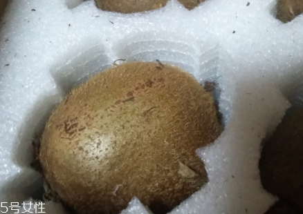 綠心獼猴桃硬的能吃嗎？硬的綠心獼猴桃能吃嗎？