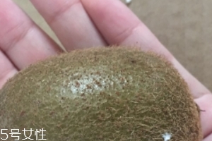 綠心獼猴桃含葉酸嗎？綠心獼猴桃里面有葉酸嗎？