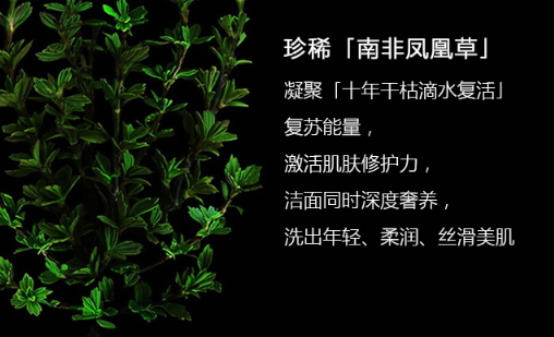 阿瑪尼洗面奶怎么樣？阿瑪尼洗面奶評(píng)測(cè)