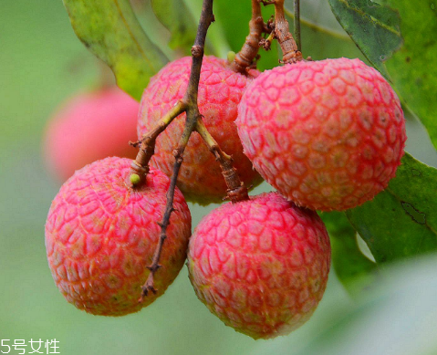 荔枝是涼性還是熱性？月經(jīng)來(lái)了能吃荔枝嗎