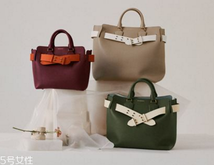 burberry the belt bag多少錢？巴寶莉貝爾特包專柜價格