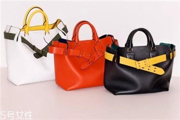 burberry the belt bag多少錢(qián)？巴寶莉貝爾特包專(zhuān)柜價(jià)格