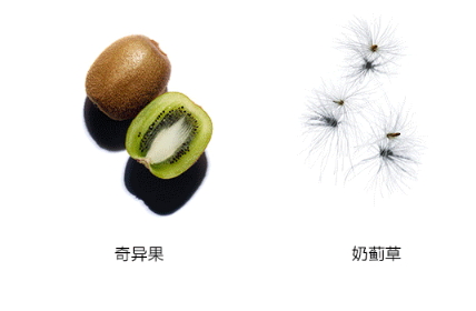 嬌韻詩雙萃精華多少錢？嬌韻詩雙萃精華容量